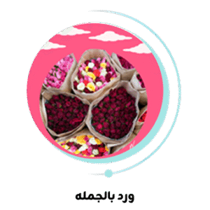 ورد بالجمله