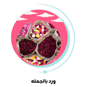 ورد بالجمله