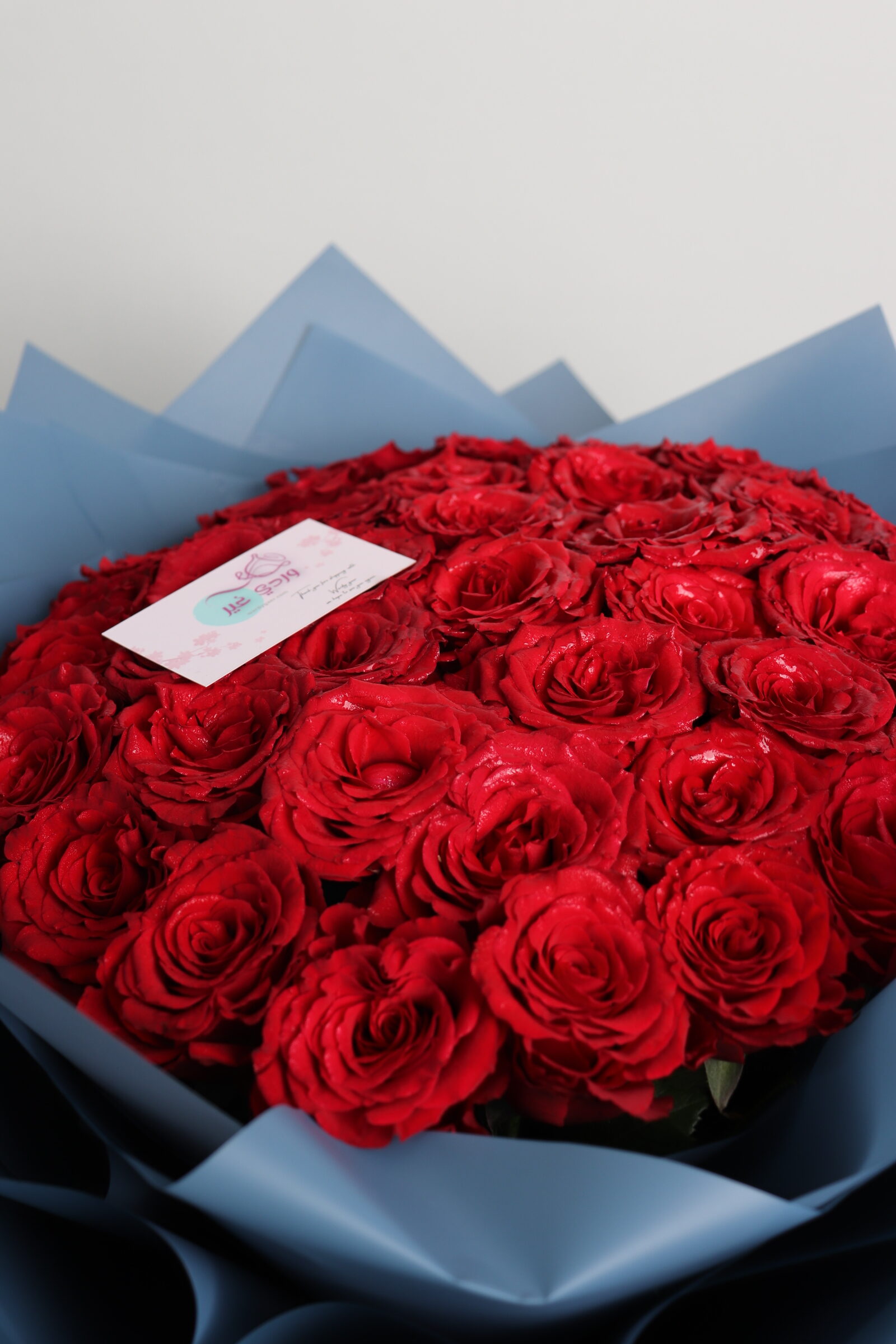 سكاى ريد - الصورة 4